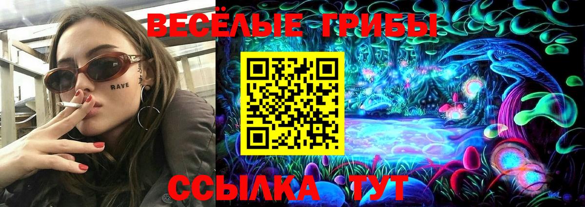 Псилоцибиновые грибы Cubensis Павловский Посад
