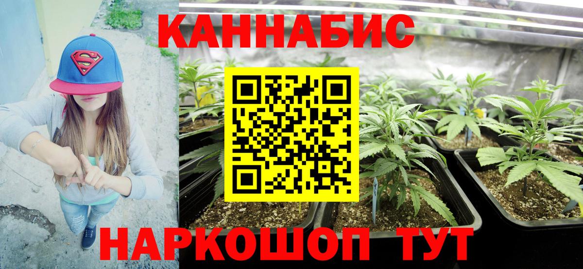 Каннабис Bruce Banner  Вход с VPN  Павловский Посад  Конопля индика 